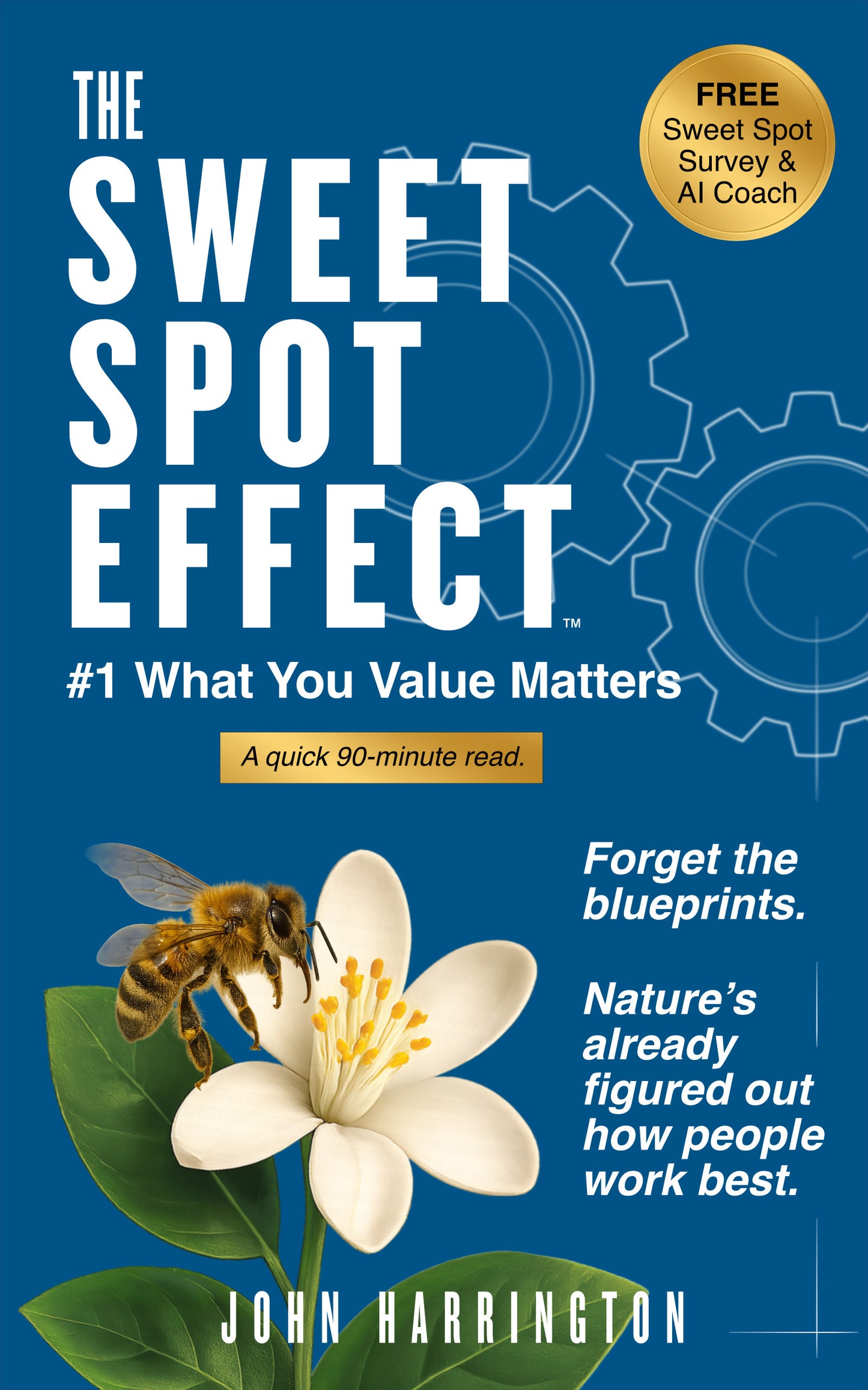 The Sweet Spot Effect — Find Work That Fits You, Improve Team Performance, and Love What You Do